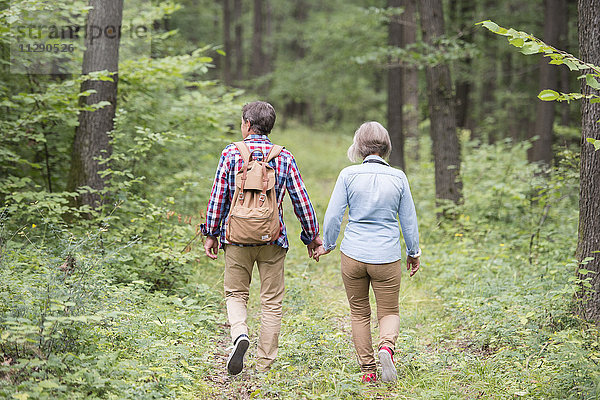Rückansicht des Seniorenpaares  das Hand in Hand im Wald geht.