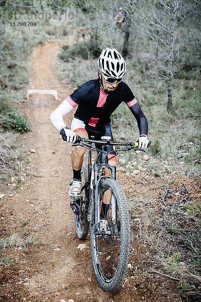 Mountainbiker auf Waldweg