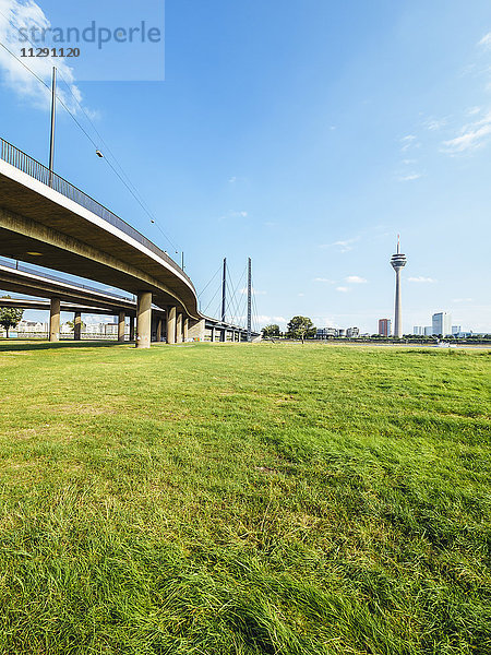 Deutschland  Düsseldorf  Blick auf Rheinbrücke und Rheinturm mit Wiese im Vordergrund