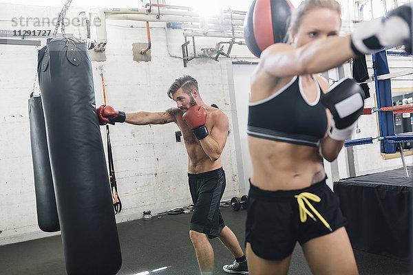 Zwei Boxer trainieren im Boxclub