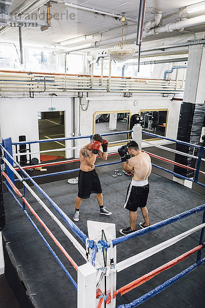 Zwei Boxer kämpfen im Boxring