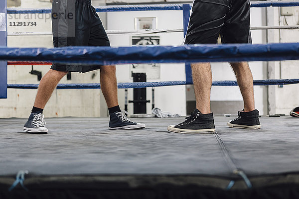 Beine von zwei Boxern im Boxring
