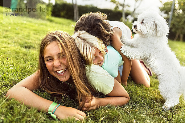 Drei Mädchen haben Spaß mit einem Welpen auf einer Wiese