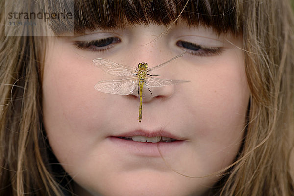 Mädchen beobachtet Libelle auf der Nase sitzend