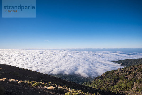Spanien  Teneriffa  Teide Nationalpark  Blick über Wolken