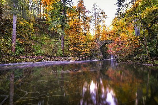 UK  Schottland  Dunkeld  Herbstbäume am Fluss Braan