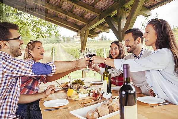 Freunde klirren Rotweingläser bei Tisch im Weinberg
