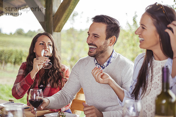 Freunde treffen sich bei Rotwein an einem Tisch im Freien.