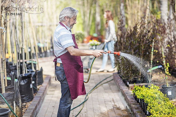 Ältere Gärtner gießen Pflanzen im Gartencenter