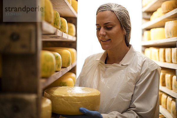 Käsereiarbeiter kontrolliert die Reifung von Käse