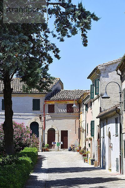 Häuser an der Piazza Tarsetti  Morro D´Alba  Marken  Italien  Europa