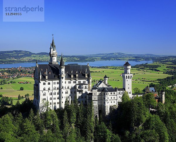 Schloss Neuschwanstein  hinten Alpsee  Hohenschwangau  Bayern  Deutschland  Europa