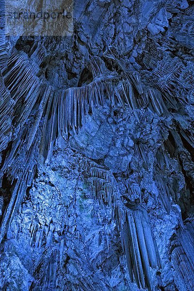 Tropfsteinhöhle St. Michael's Cave  Kalksteinhöhle im Upper Rock Nature Reserve  illuminiert  Gibraltar  Europa