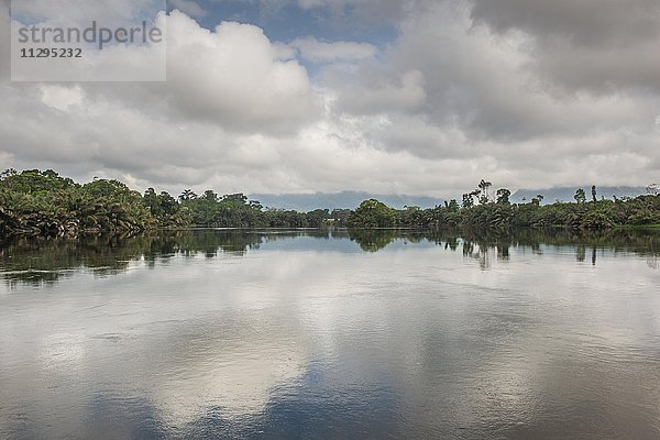 Fluss Ntem im Regenwald  Campo  Region Süd  Kamerun  Afrika