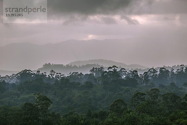 Landschaft mit Wolken und Wald  Fundong  Region Nord-West  Kamerun  Afrika