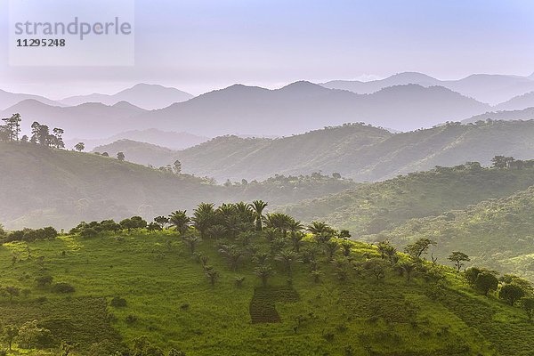 Landschaft  Fundong  Region Nordwest  Kamerun  Afrika