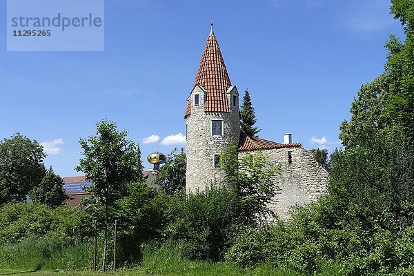 Stadtmauer mit Stadtturm  Abensberg  Niederbayern  Bayern  Deutschland  Europa
