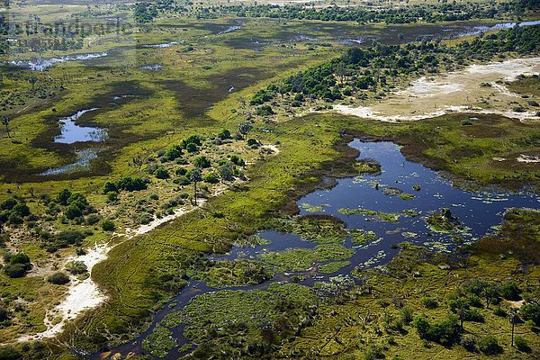 Luftaufnahme  Okavangodelta  Botswana  Afrika