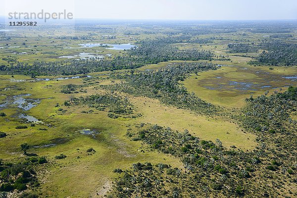 Luftaufnahme  Okavangodelta  Botswana  Afrika