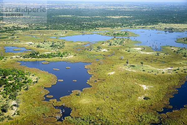 Luftaufnahme  Okavangodelta  Botswana  Afrika