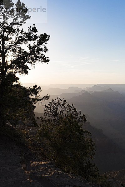 Berg Silhouetten im Abendlicht  Grand Canyon  Arizona  USA  Nordamerika