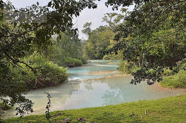 Cataratas de Agua Azul  Wasserfälle des blauen Wassers  Rio Yax  Palenque  Bundesstaat Chiapas  Mexiko  Mittelamerika