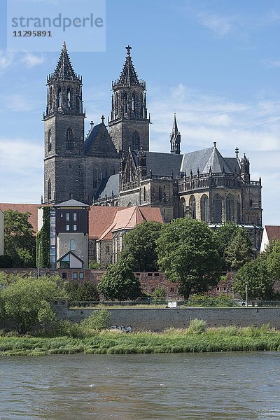 Magdeburger Dom mit Elbe  ältestes gotisches Bauwerk in Deutschland  Magdeburg  Sachsen-Anhalt  Deutschland  Europa