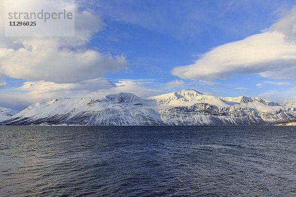Schneebedeckte Berge Småtuva und Stortuva am Fjord  Ullsfjord  Troms  Norwegen  Europa
