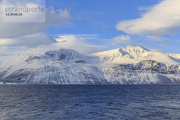 Schneebedeckte Berge Småtuva und Stortuva am Fjord  Ullsfjord  Troms  Norwegen  Europa