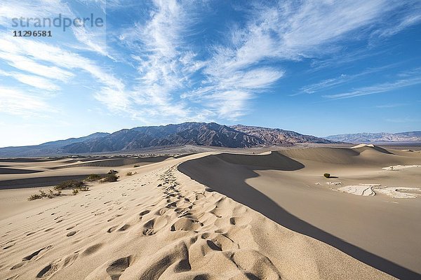 Spuren auf einer Sanddüne  Mesquite Flat Sand Dunes  hinten Ausläufer der Amargosa-Range Bergkette  Death Valley  Death-Valley-Nationalpark  Kalifornien  USA  Nordamerika