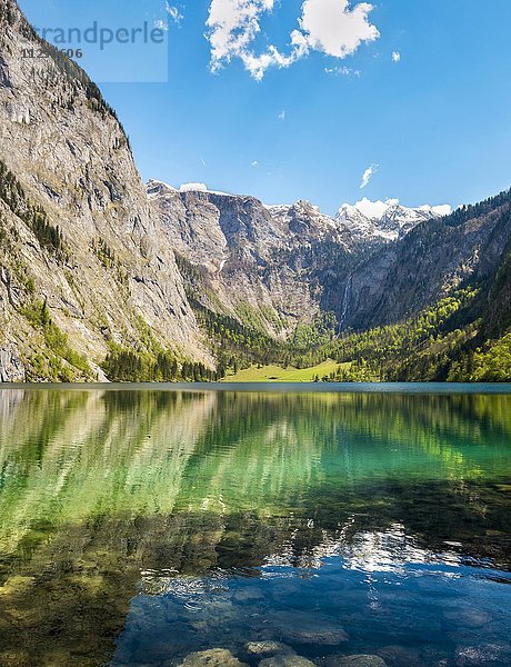 Obersee mit Wasserspiegelung  Salet am Königssee  Nationalpark Berchtesgaden  Berchtesgadener Land  Oberbayern  Bayern  Deutschland  Europa