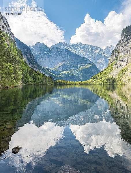Obersee mit Wasserspiegelung  hinten Watzmannmassiv  Salet am Königssee  Nationalpark Berchtesgaden  Berchtesgadener Land  Oberbayern  Bayern  Deutschland  Europa