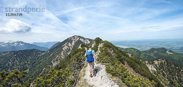 Wanderer auf einem Wanderweg  Gratwanderung Herzogstand-Heimgarten  hinten Heimgarten  Oberbayern  Bayern  Deutschland  Europa