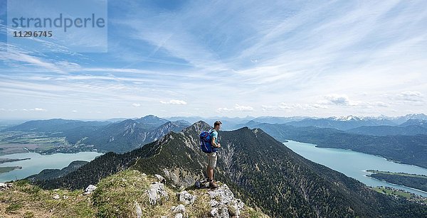 Wanderer am Heimgarten  Ausblick vom Gipfel mit Kochelsee  Walchensee und Herzogstand  Oberbayern  Bayern  Deutschland  Europa