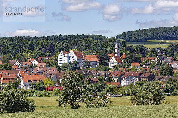 Aulendorf mit Schloss und Pfarrkirche St. Martin  Oberschwaben  Schwaben  Baden-Württemberg  Deutschland  Europa