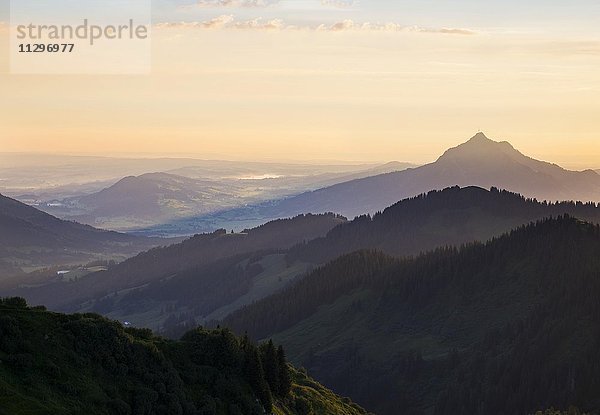 Blick vom Riedberger Horn zum Grünten im Morgenlicht  Hörnergruppe  Oberallgäu  Allgäu  Schwaben  Bayern  Deutschland  Europa