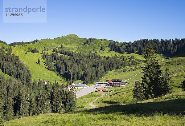 Riedberger Horn  Riedbergerhorn  Grasgehren  Oberallgäu  Allgäu  Schwaben  Bayern  Deutschland  Europa