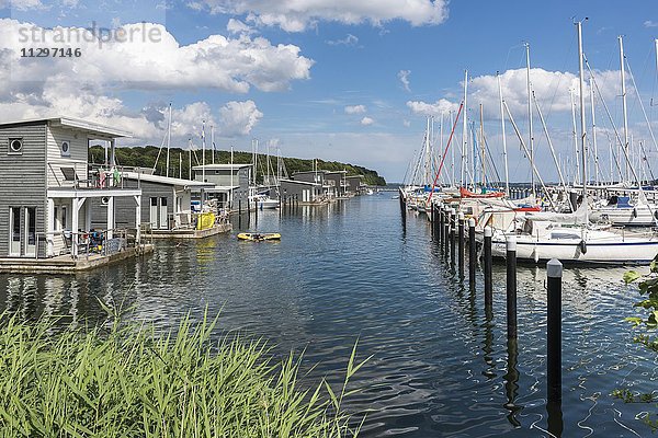 Schwimmende Appartements im Yachthafen  Lauterbach  Putbus  Insel Rügen  Mecklenburg-Vorpommern  Deutschland  Europa