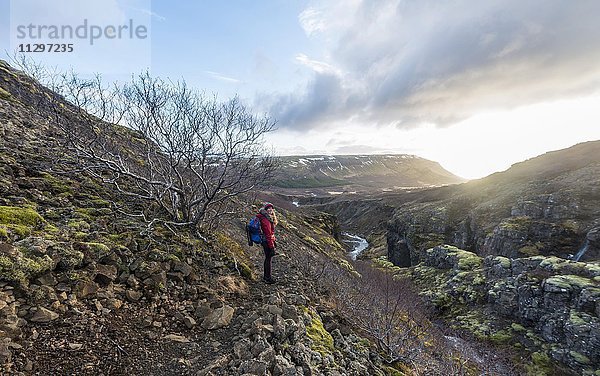 Junge Frau auf Wanderweg  Canyon des Glymur  Hvalfjarðarsveit  Vesturland  Island  Europa