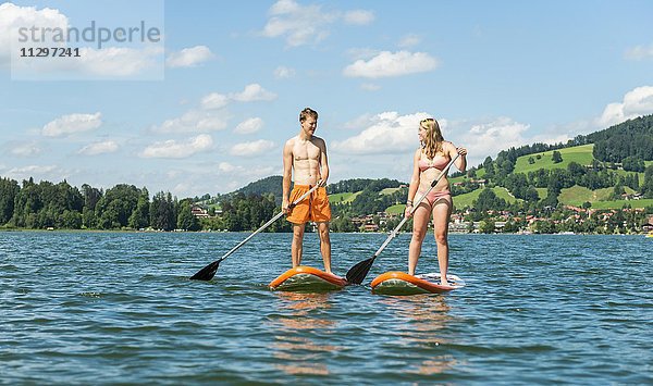 Junger Mann und junge Frau auf einem Stehpaddel Board  Stand-Up-Paddel oder SUP auf einem See  Schliersee  Oberbayern  Bayern  Deutschland  Europa