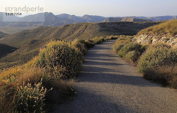 Kleine Straße in den Bergen  Rodalquilar  Cabo de Gata Naturpark  Provinz Almería  Spanien  Europa