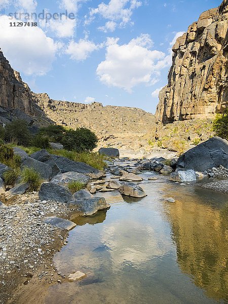 Wadi Damm  Hajar al Gharbi Berge  Al Dhahirah Region  Arabien  Mittlerer Osten  Sultanat Oman