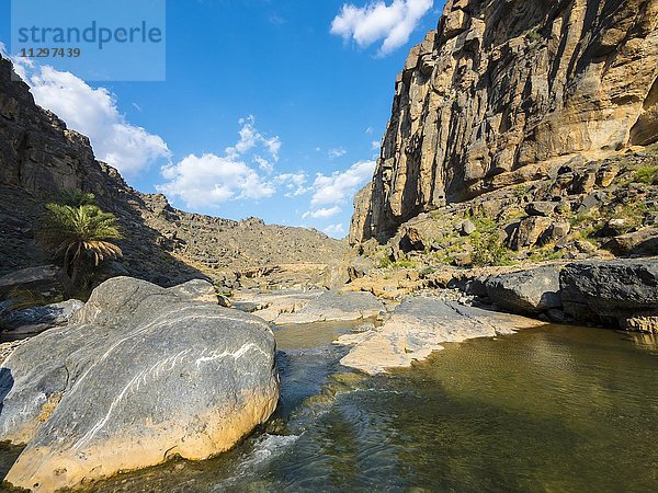 Wadi Damm  Hajar al Gharbi Berge  Al Dhahirah Region  Arabien  Mittlerer Osten  Sultanat Oman