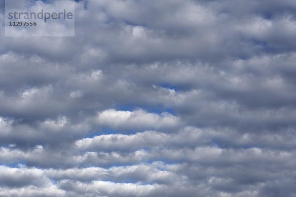 Altocumulus stratiformis perlucidus undulatus Wolken  Bayern  Deutschland  Europa