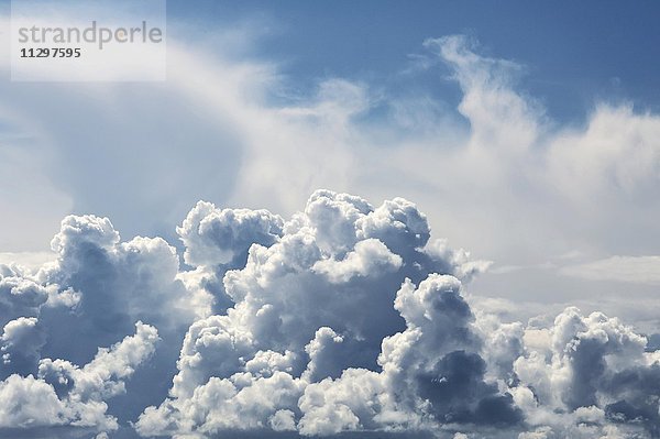 Haufenwolken (Cumulus) an der Atlantikküste  Frankreich  Europa