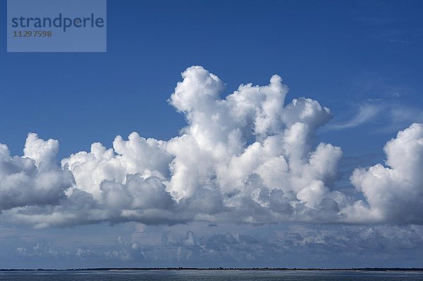 Haufenwolken (Cumulus) an der Atlantikküste  Frankreich  Europa