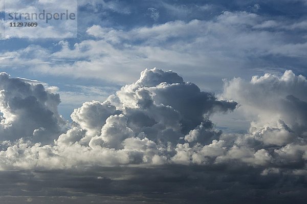 Haufenwolken (Cumulus) über dem Atlantik  Frankreich  Europa