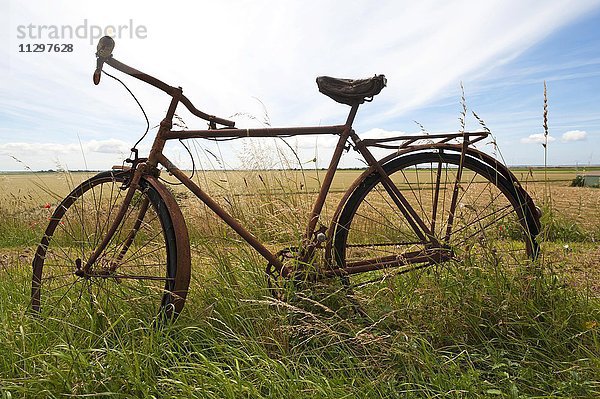 Altes  verrostetes Fahrrad im Gras  Vandée  Frankreich  Europa