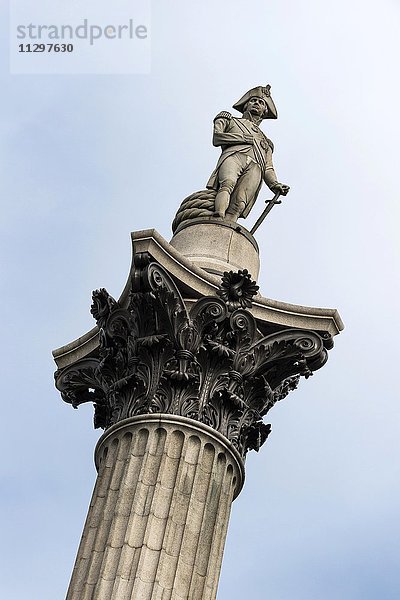 Nelsonsäule  Trafalgar Square  London  England  Großbritannien  Vereinigtes Königreich  Europa