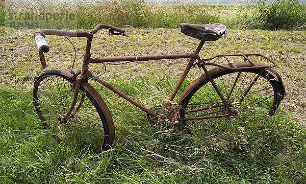 Altes  verrostetes Fahrrad im Gras am Straßenrand  Vandée  Frankreich  Europa